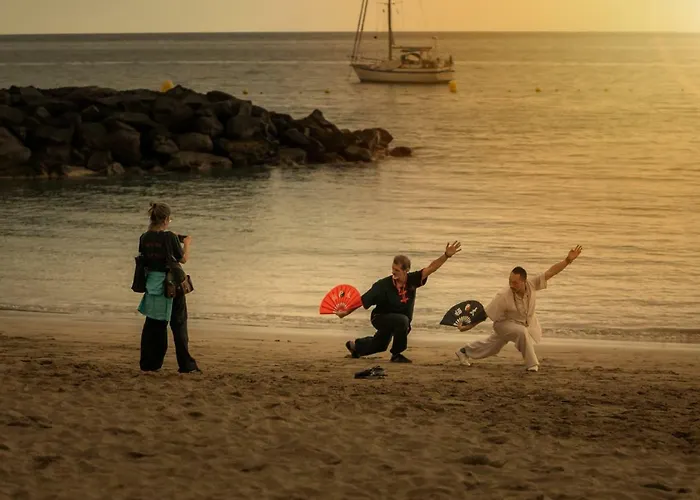 Apartment Comodoro Estudio Vista Mar Explotaciones Ravel Arona (Tenerife)