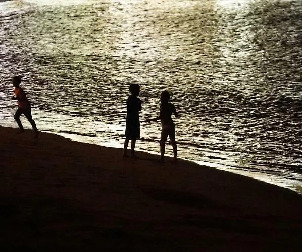 Comodoro Estudio Vista Mar Explotaciones Ravel